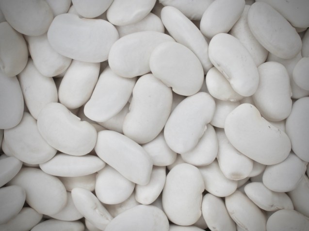 Butter beans - by H.harwatt